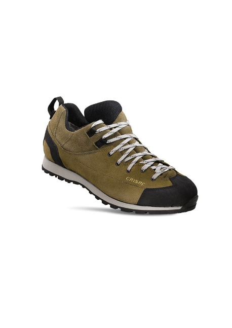 560PSS All Over GTX Trekkingschuh grün